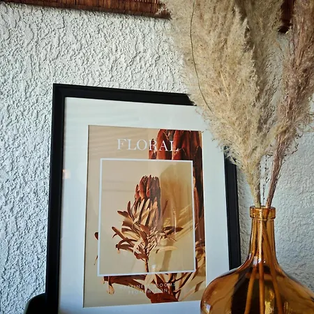 Richelieu 73 A 300m Piscine Parking Dom wakacyjny Agde