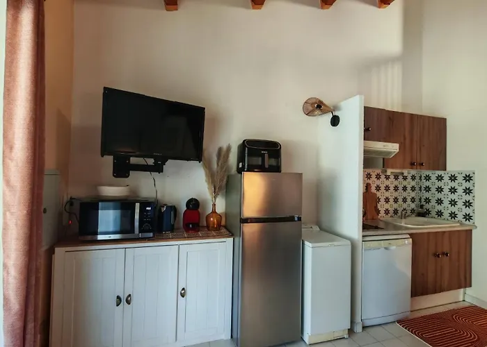 Richelieu 73 A 300m Piscine Parking * Agde